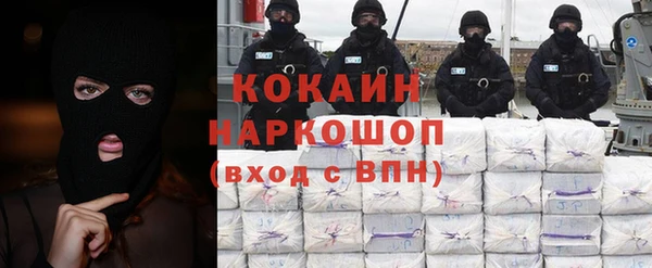 хмурый Дубна