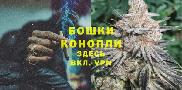 молекула духа Гусев