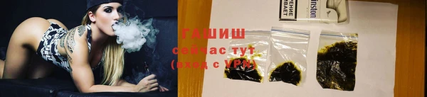 хмурый Дубна