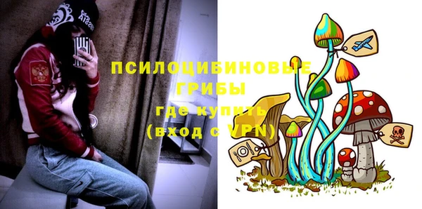 молекула духа Гусев