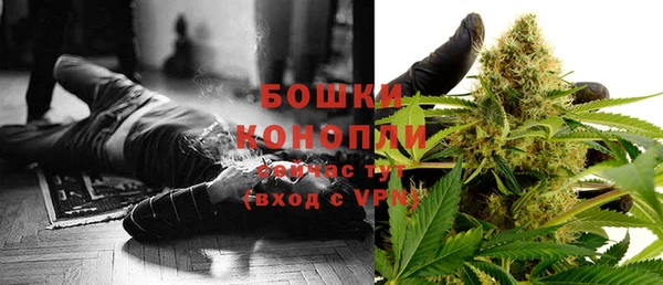 молекула духа Гусев