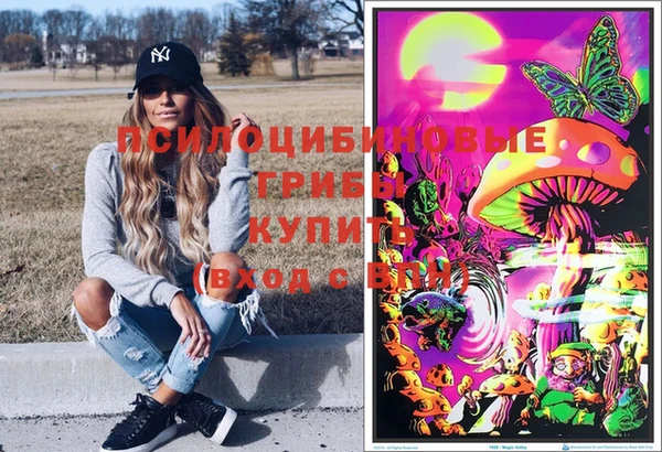 молекула духа Гусев