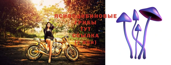 стафф Гусиноозёрск