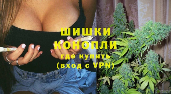 стафф Гусиноозёрск